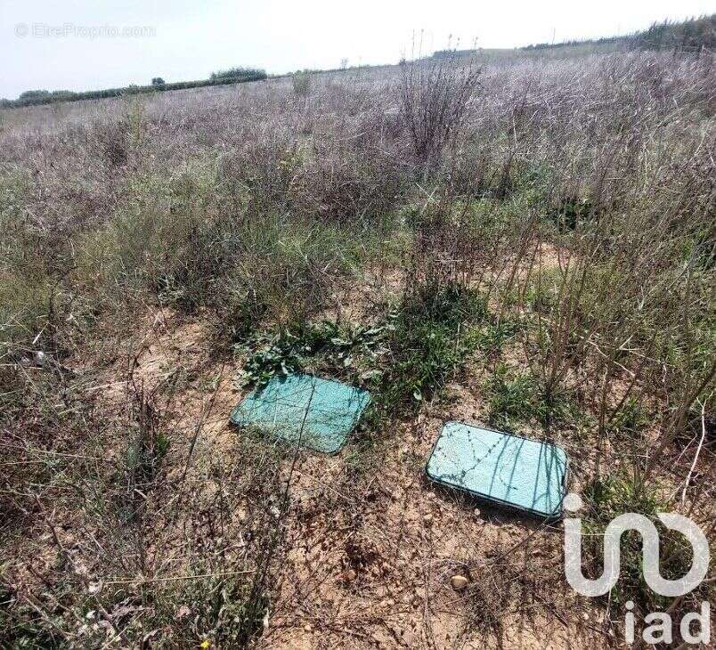 Photo 2 - Terrain à GENERAC