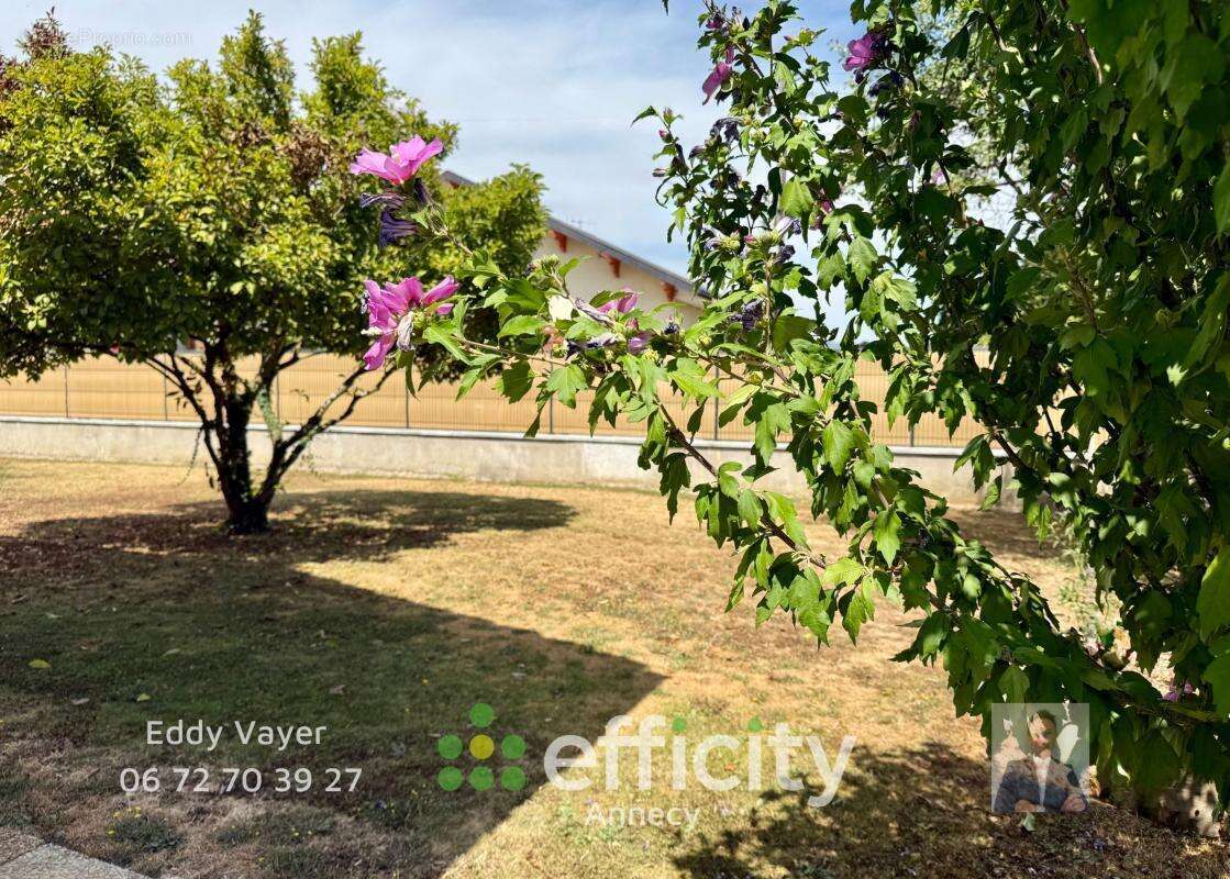 Maison 80 m² à Rumilly  - photo 3