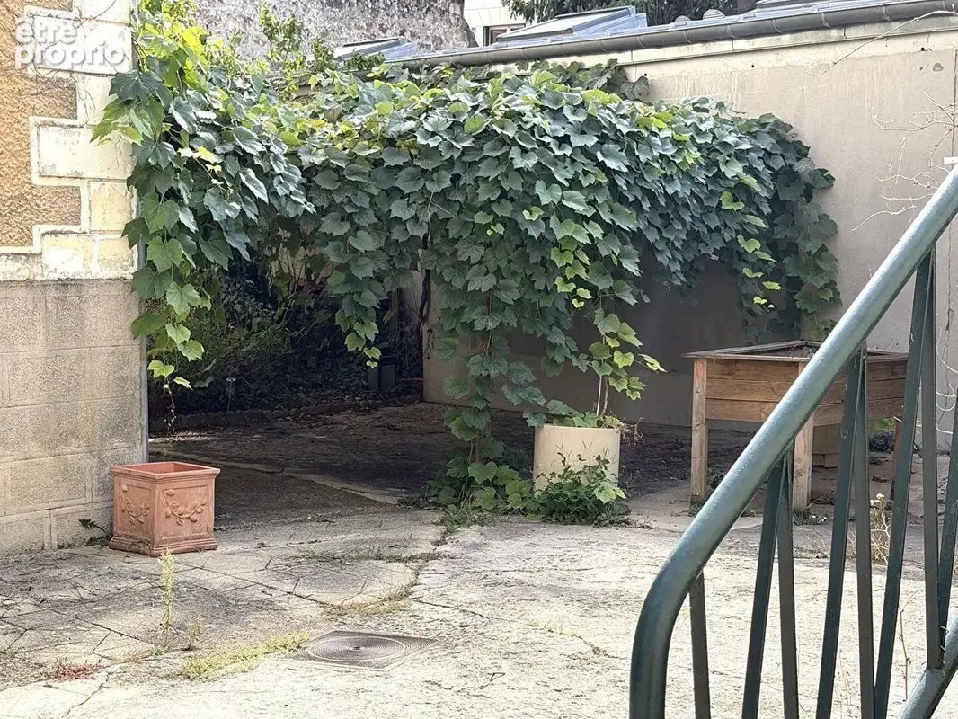 FONTAINEBLEAU Rue St Honoré  avec terrasse végétale - photo 16