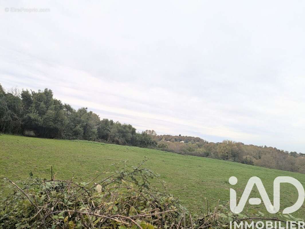 Photo 2 - Terrain à SAINT-CAPRAIS-DE-BORDEAUX