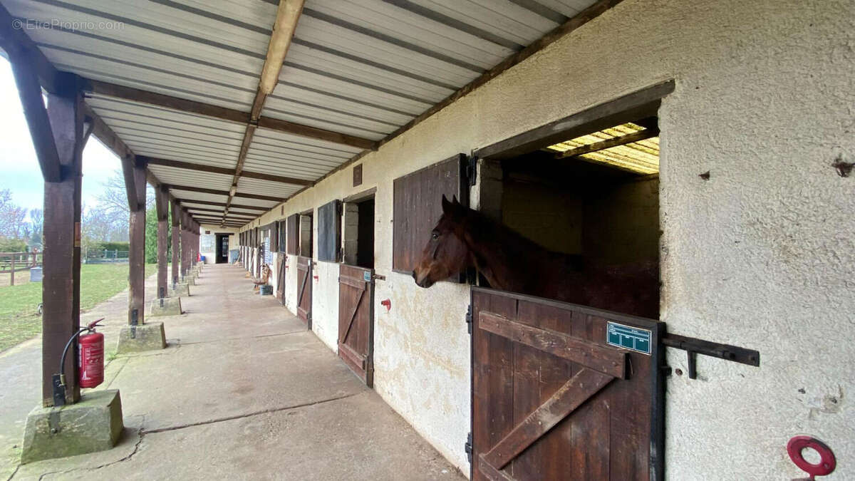 Maison à BLOSSEVILLE