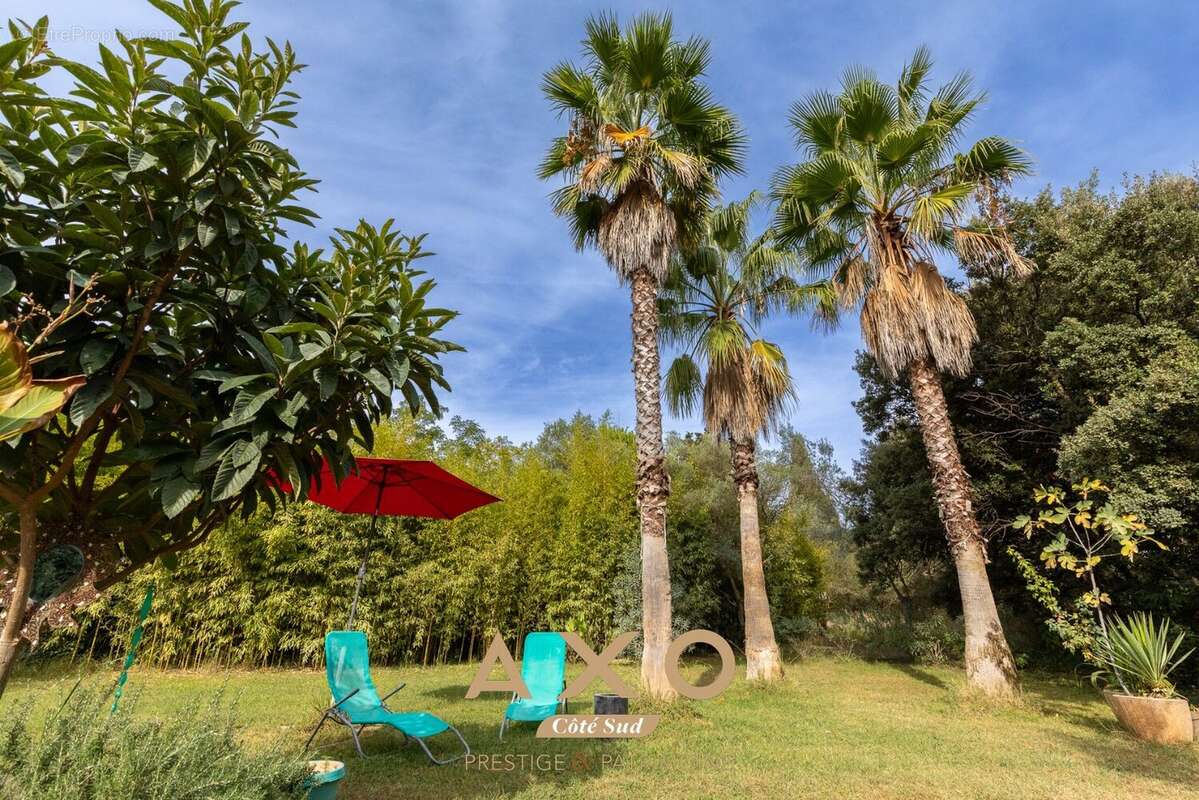 Maison à CASTELNAU-LE-LEZ