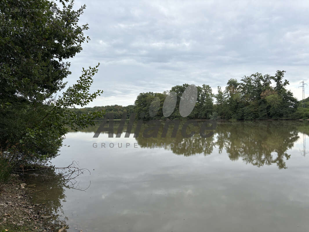Etang  de  7  ha  50  d eau  entre  luxeuil  et  lure  avec  cabane  de  pecheur - photo 9