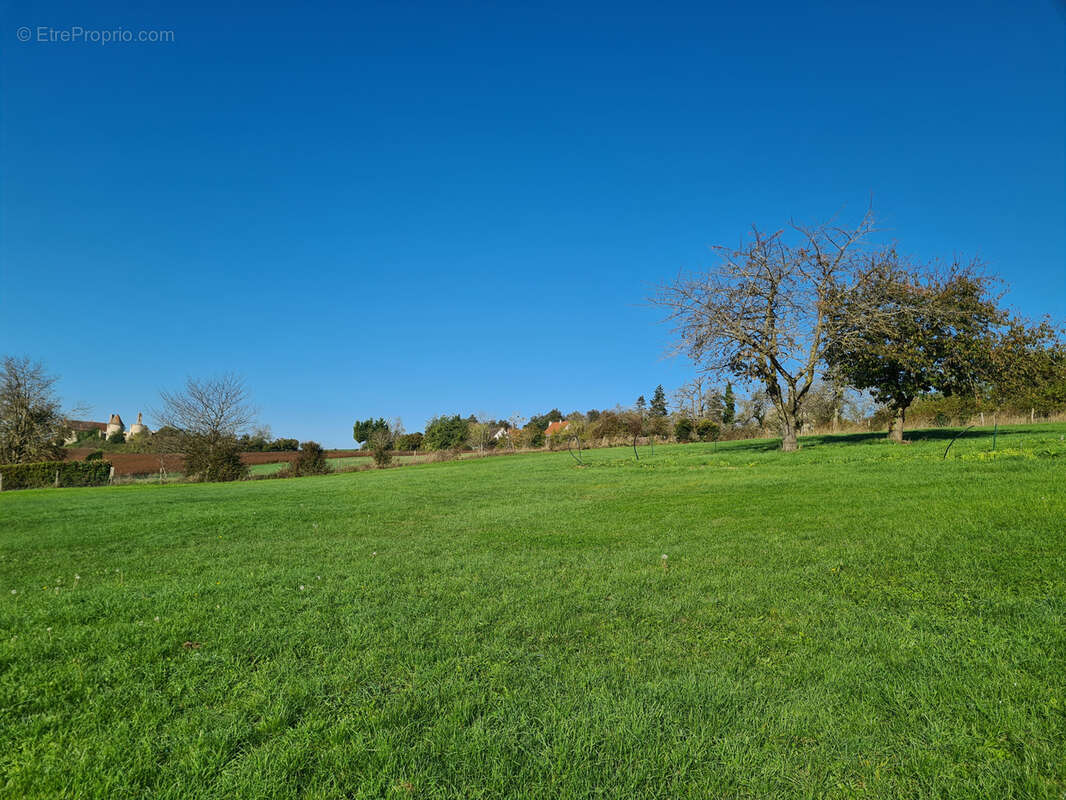 Terrain constructible 1168 m2 - photo 4
