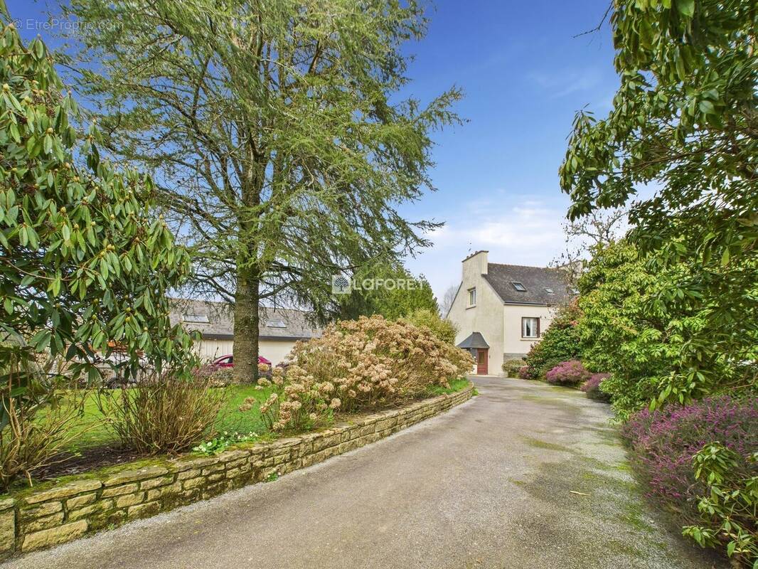 Maison à CHATEAUNEUF-DU-FAOU