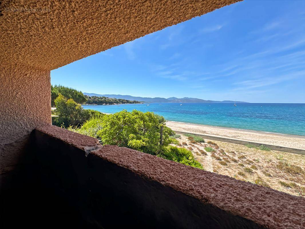 Appartement à VICO