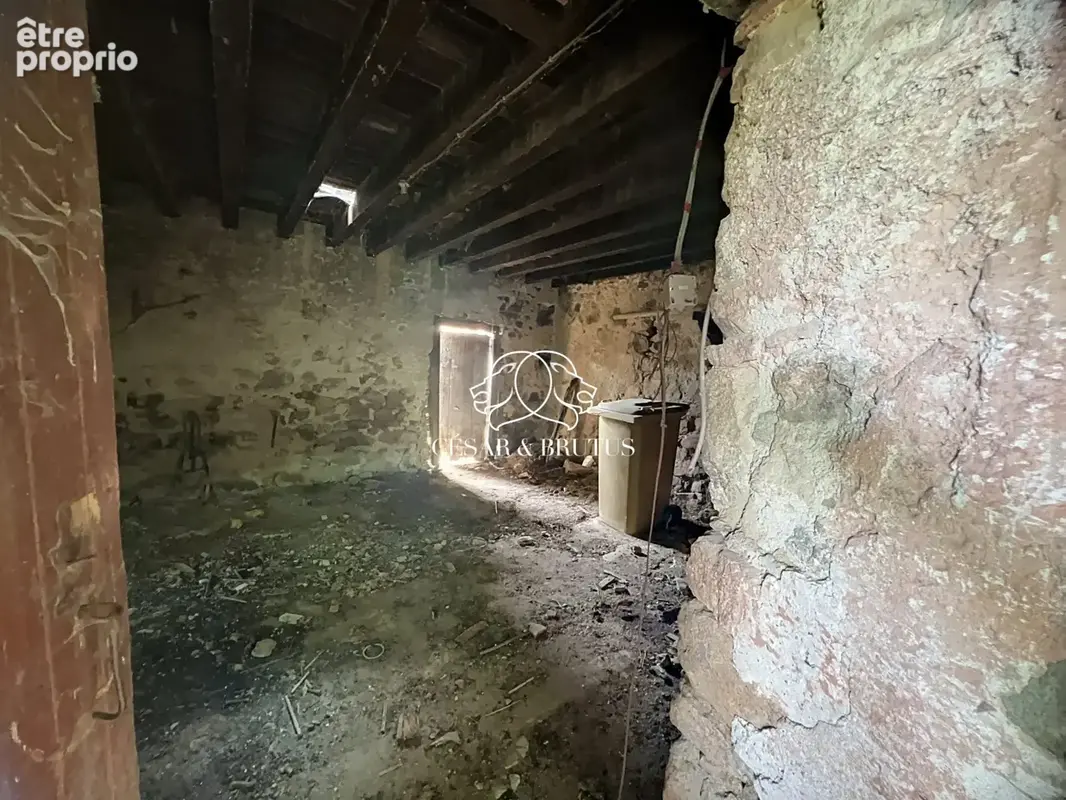 Maison 750 m² à Saint-Jean-Saint-Maurice-Sur-Loire  - photo 5