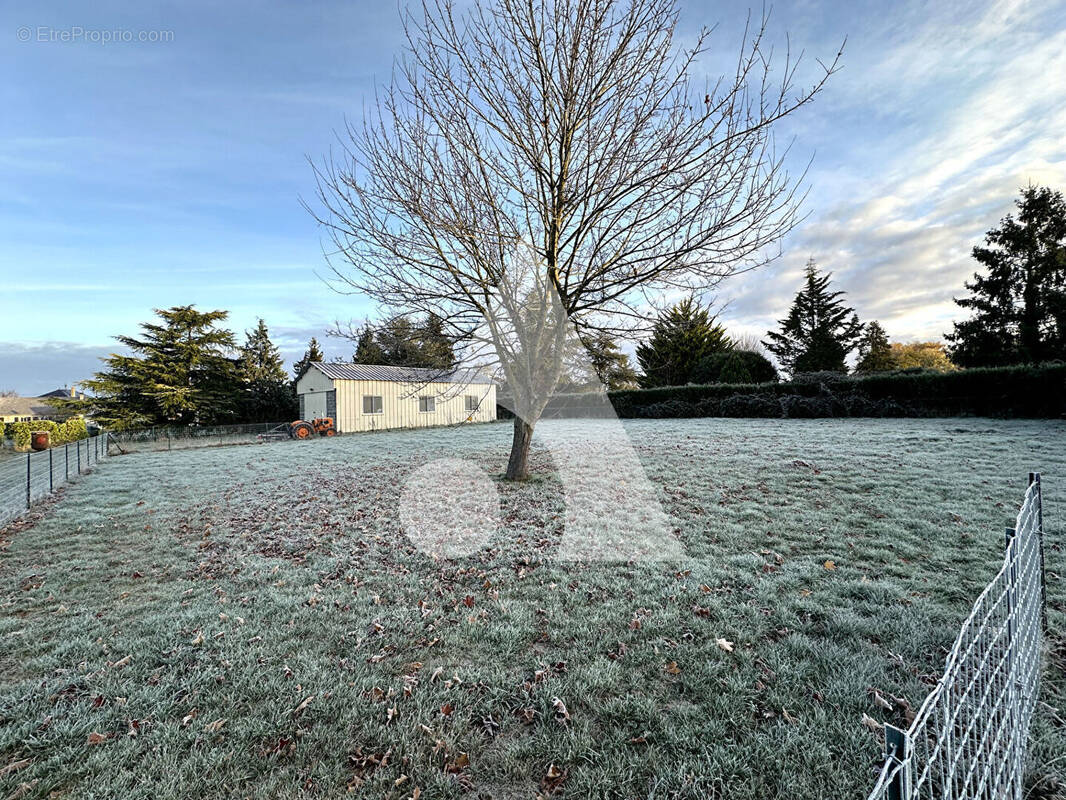 Terrain à SAINTE-MARTHE