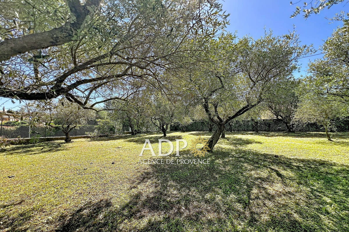Maison 165 m² à Grasse  - photo 2