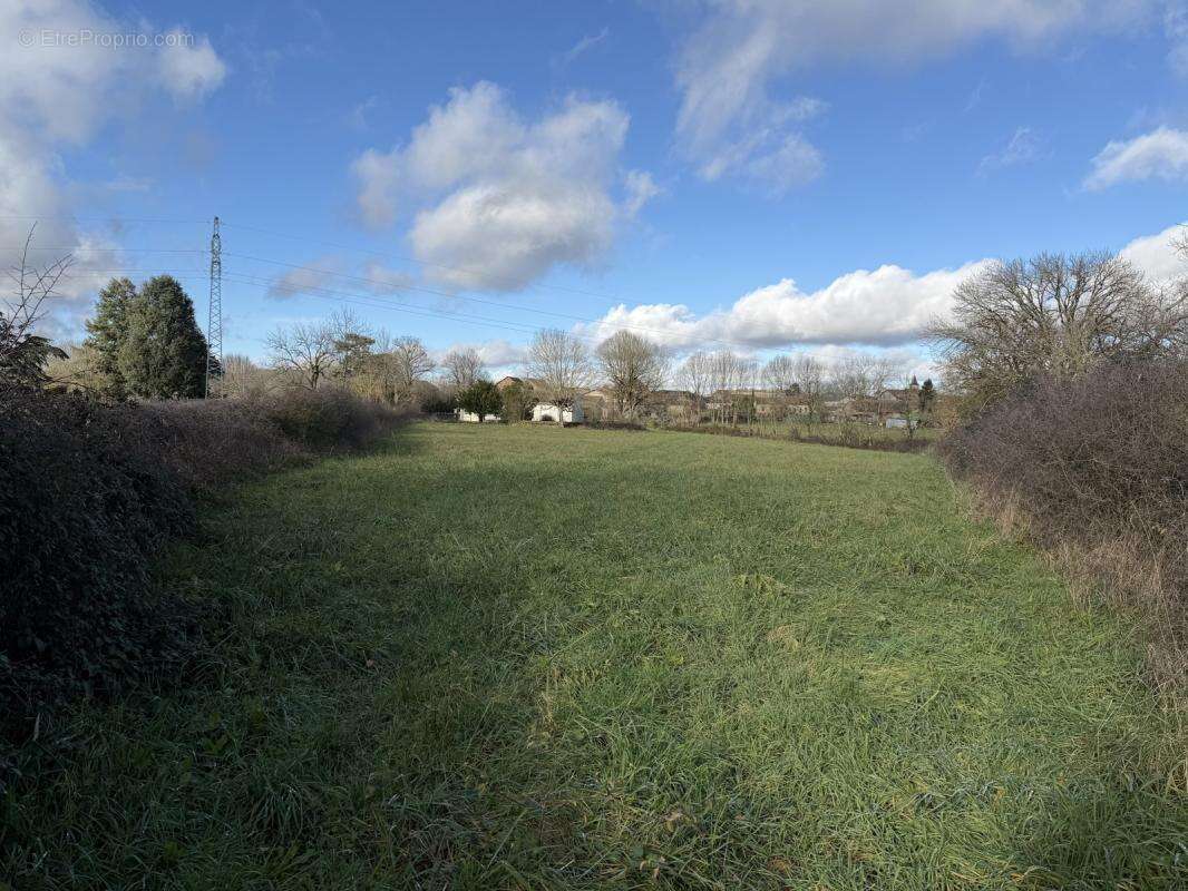 Terrain à PAMPELONNE