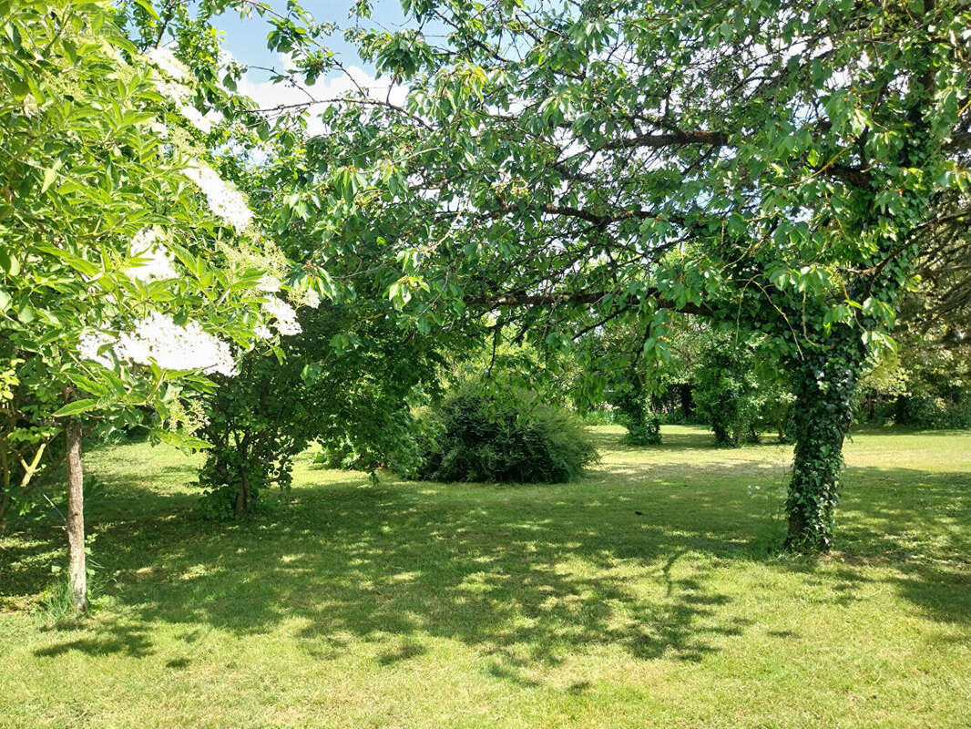 Terrain à CIGOGNE