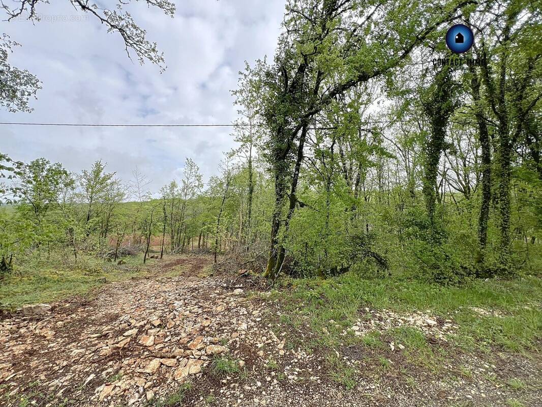 Terrain à LA DORNAC