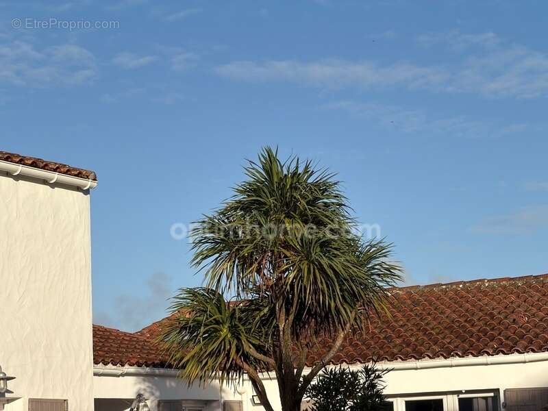 Maison à LE BOIS-PLAGE-EN-RE