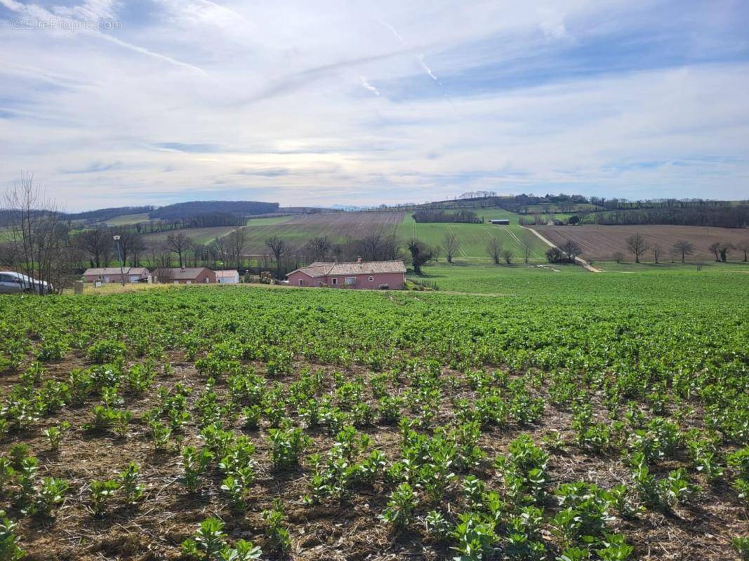 Terrain à PUYCASQUIER