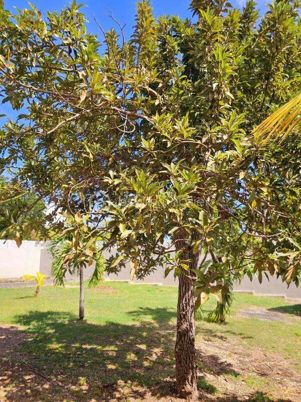 Maison à SAINT-FRANCOIS