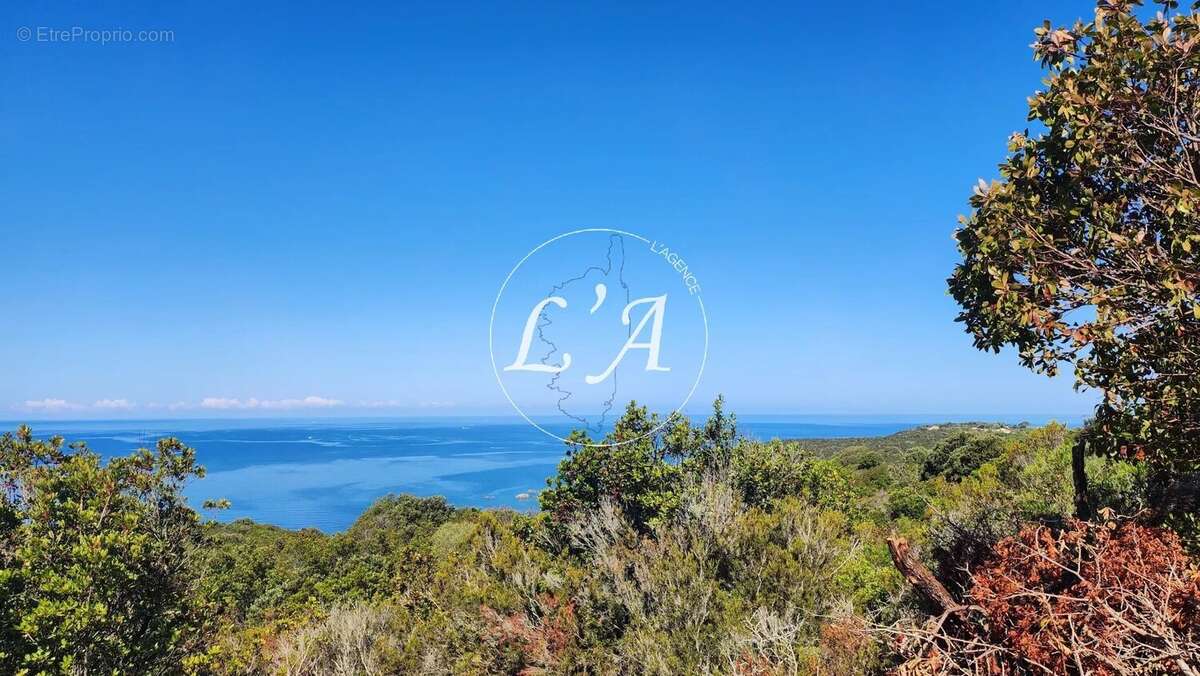 Terrain loisirs 6 679 m² vue mer Ajaccio Castagna Capo di Muro (Se Loger) - photo 6