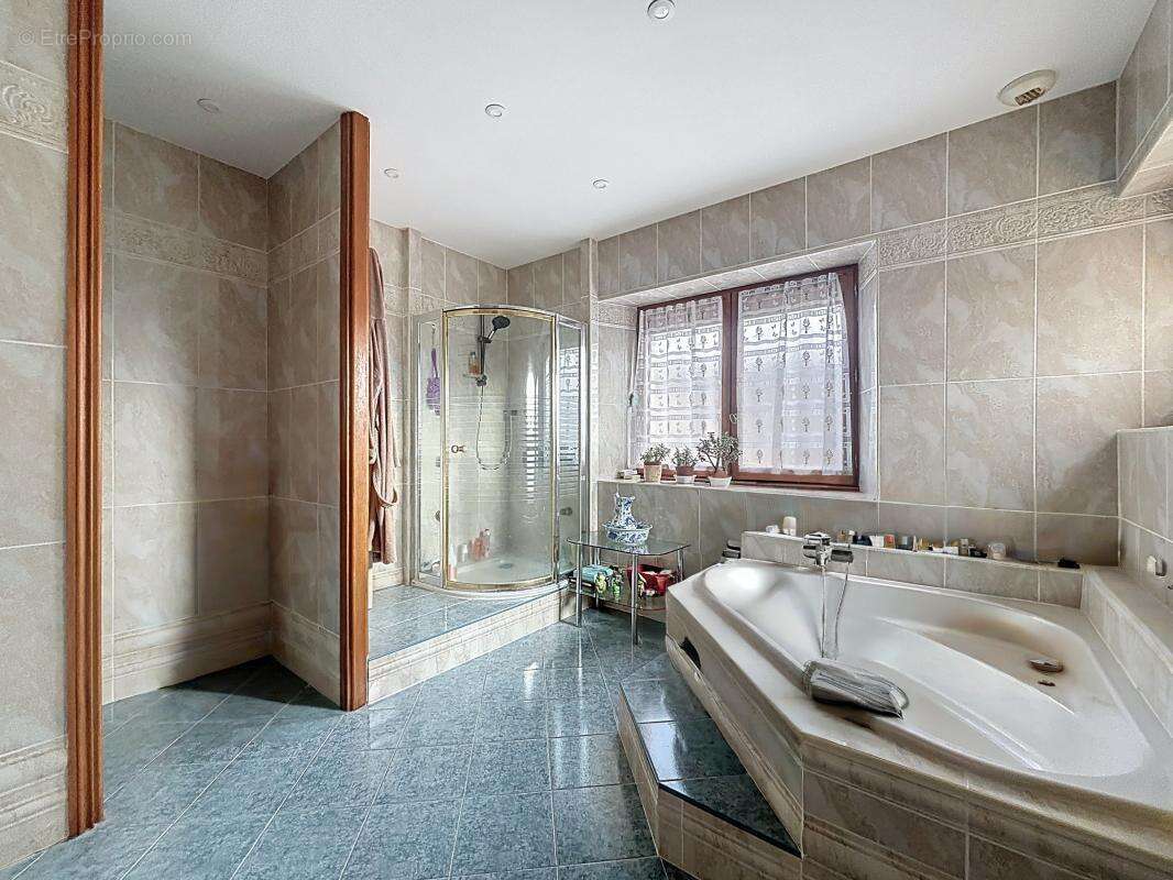 Maison à LA ROCHE-BLANCHE