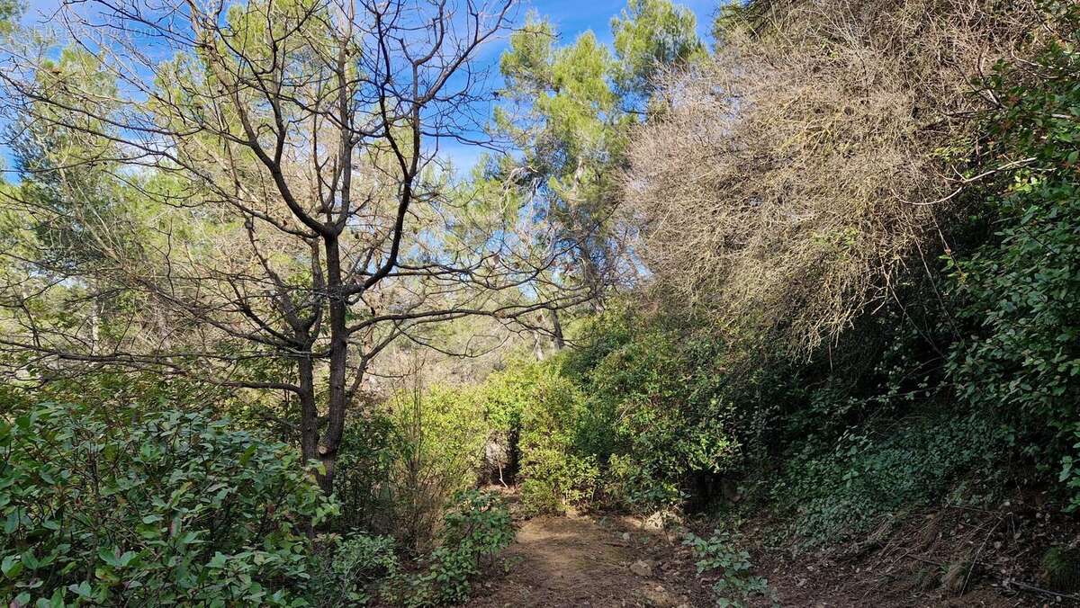 Terrain à MONTFERRIER-SUR-LEZ
