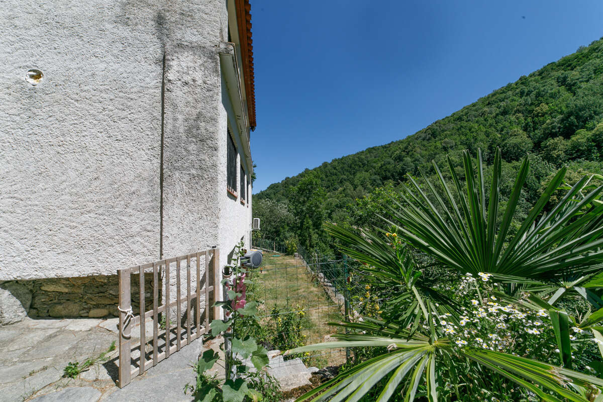 Maison à PRATS-DE-MOLLO-LA-PRESTE