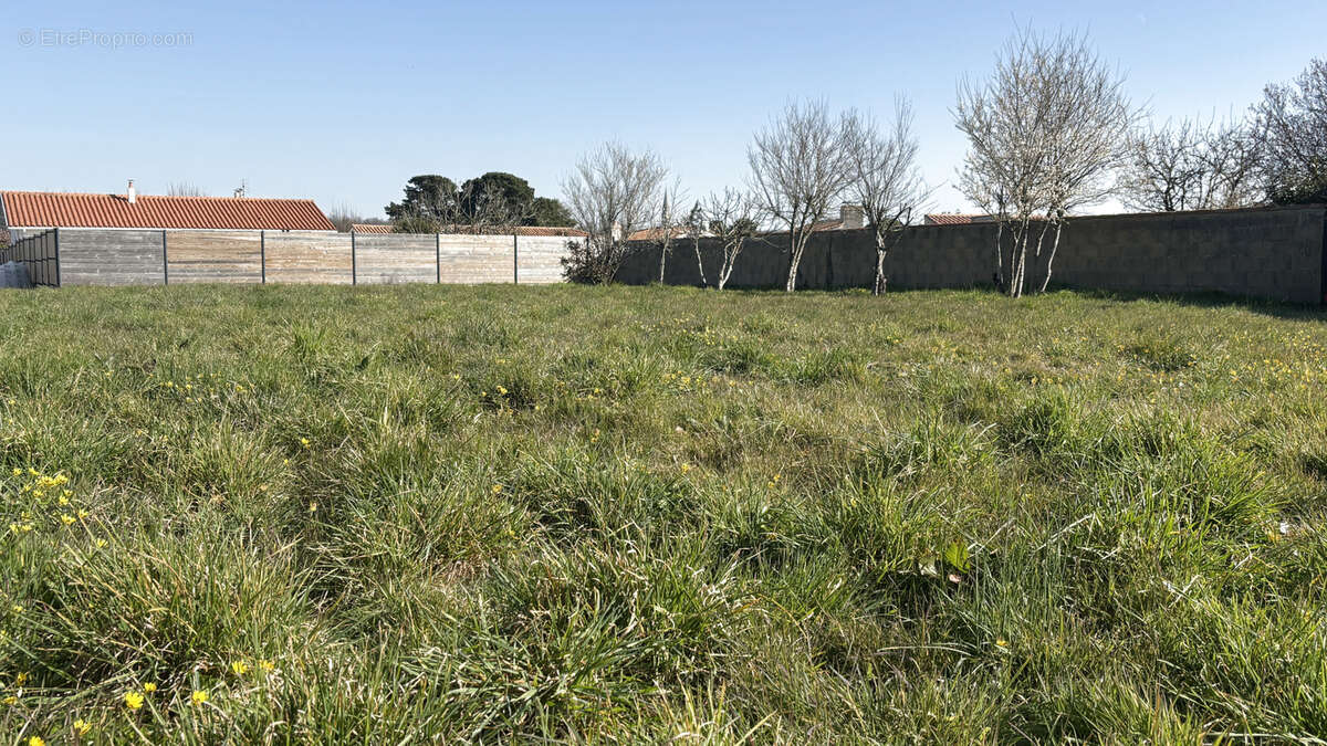 Terrain à TALMONT-SAINT-HILAIRE