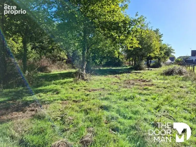 Terrain 44420 - photo 1