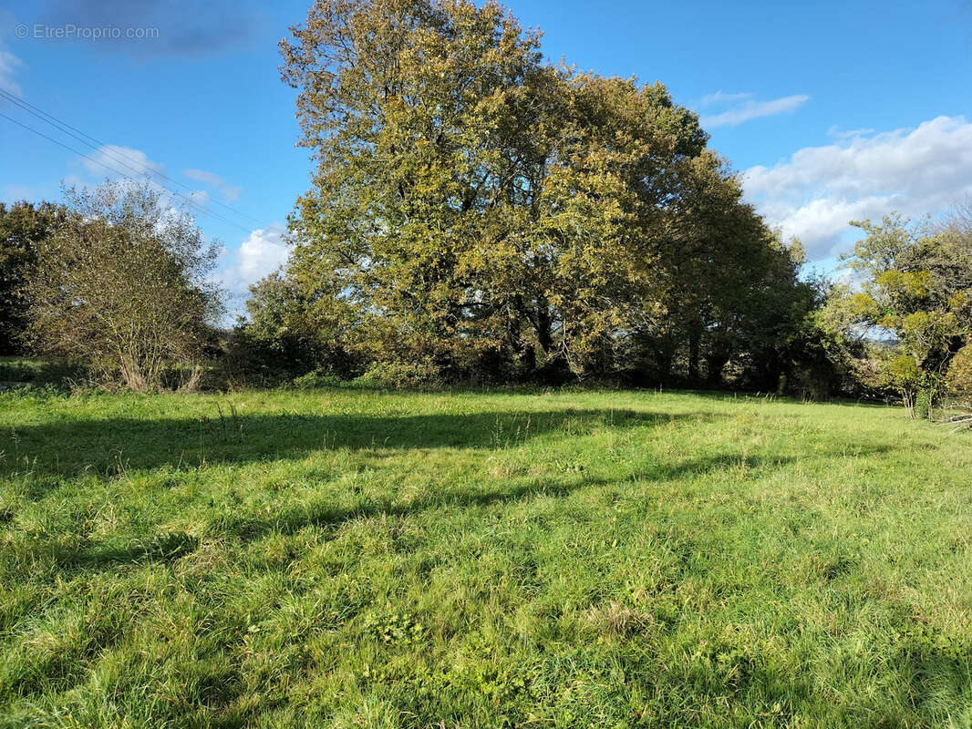 Maison à LA GRAVELLE