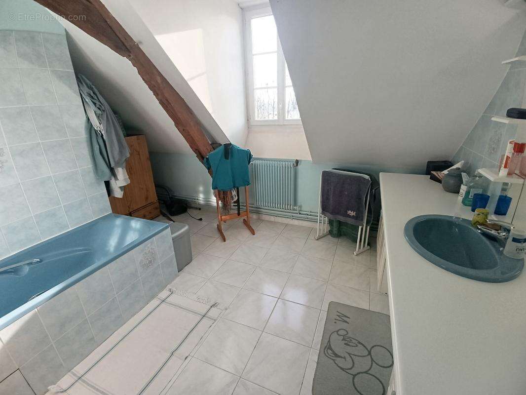 Maison à COULANS-SUR-GEE