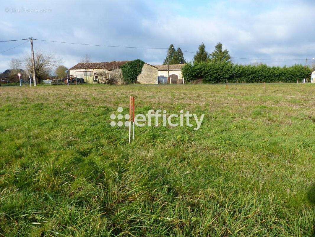 Terrain 2542 m² à Saint-Gery  - photo 3