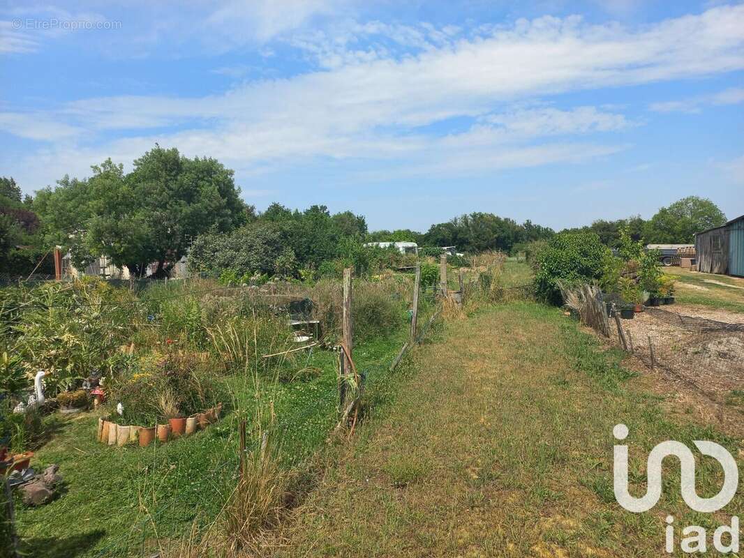 Photo 3 - Maison à LE CHATEAU-D'OLERON