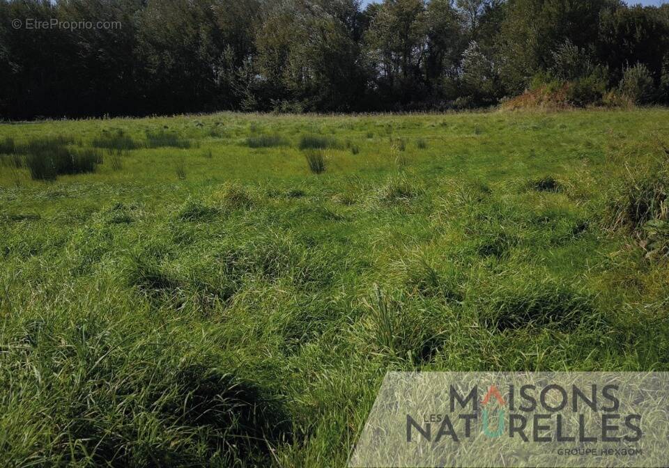 Terrain à BUIRE-LE-SEC