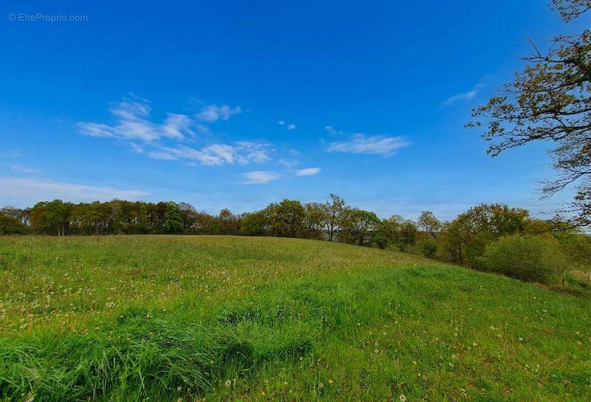 Terrain à CASTAIGNOS-SOUSLENS