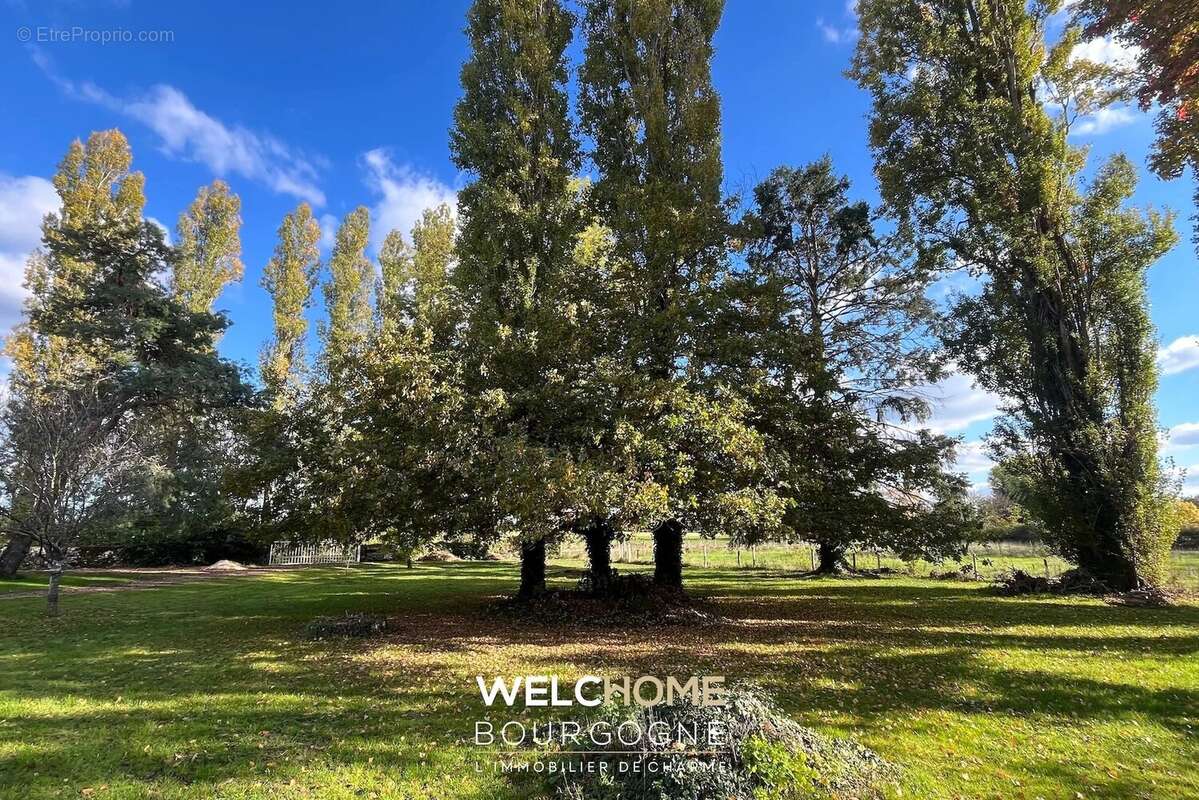 Maison à MARS-SUR-ALLIER