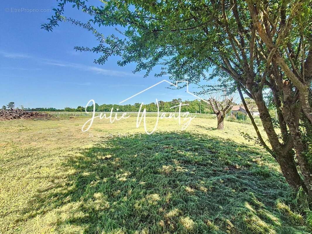 Photo 2 - Maison à REIGNAC