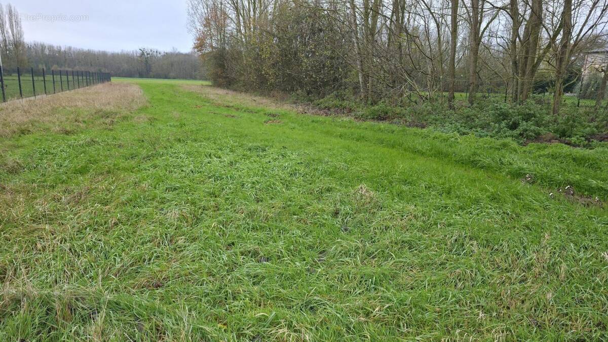 Terrain à TROSLY-LOIRE