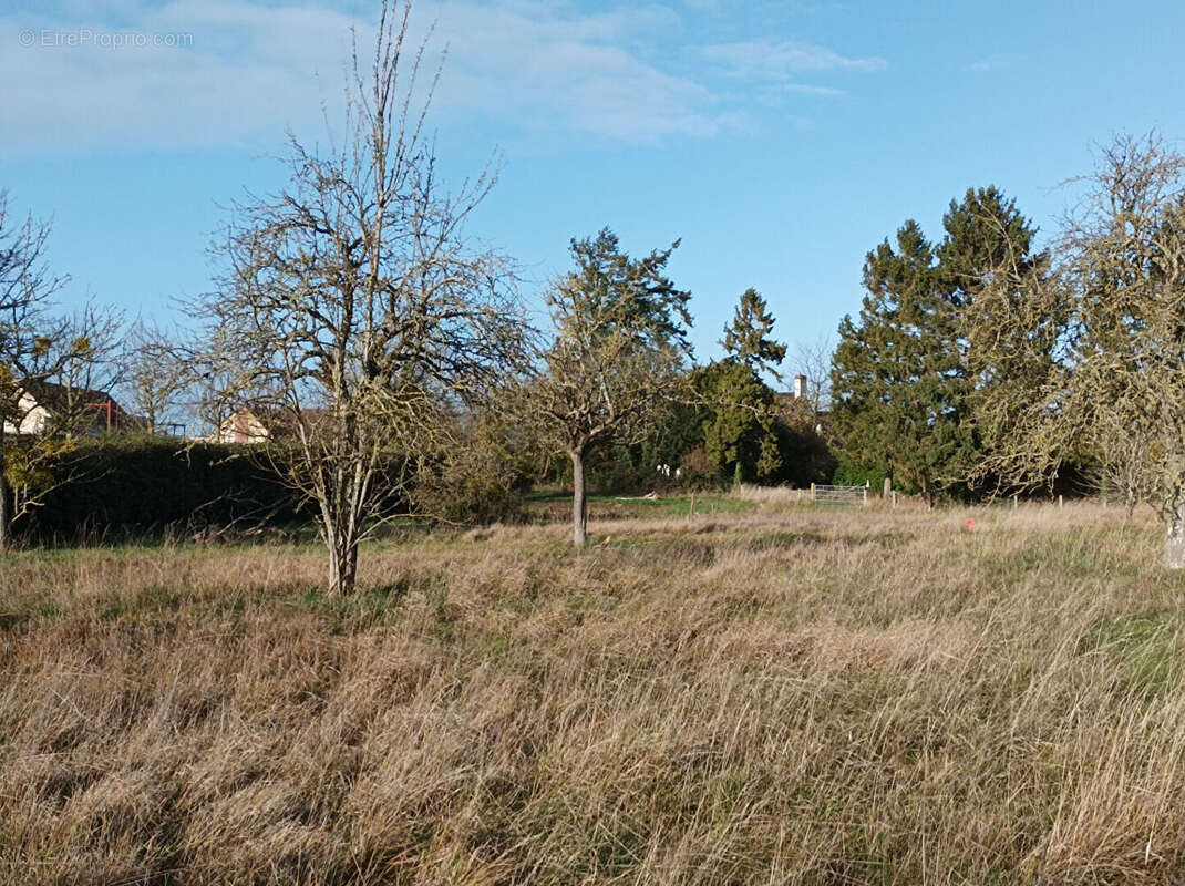 Terrain à POTIGNY