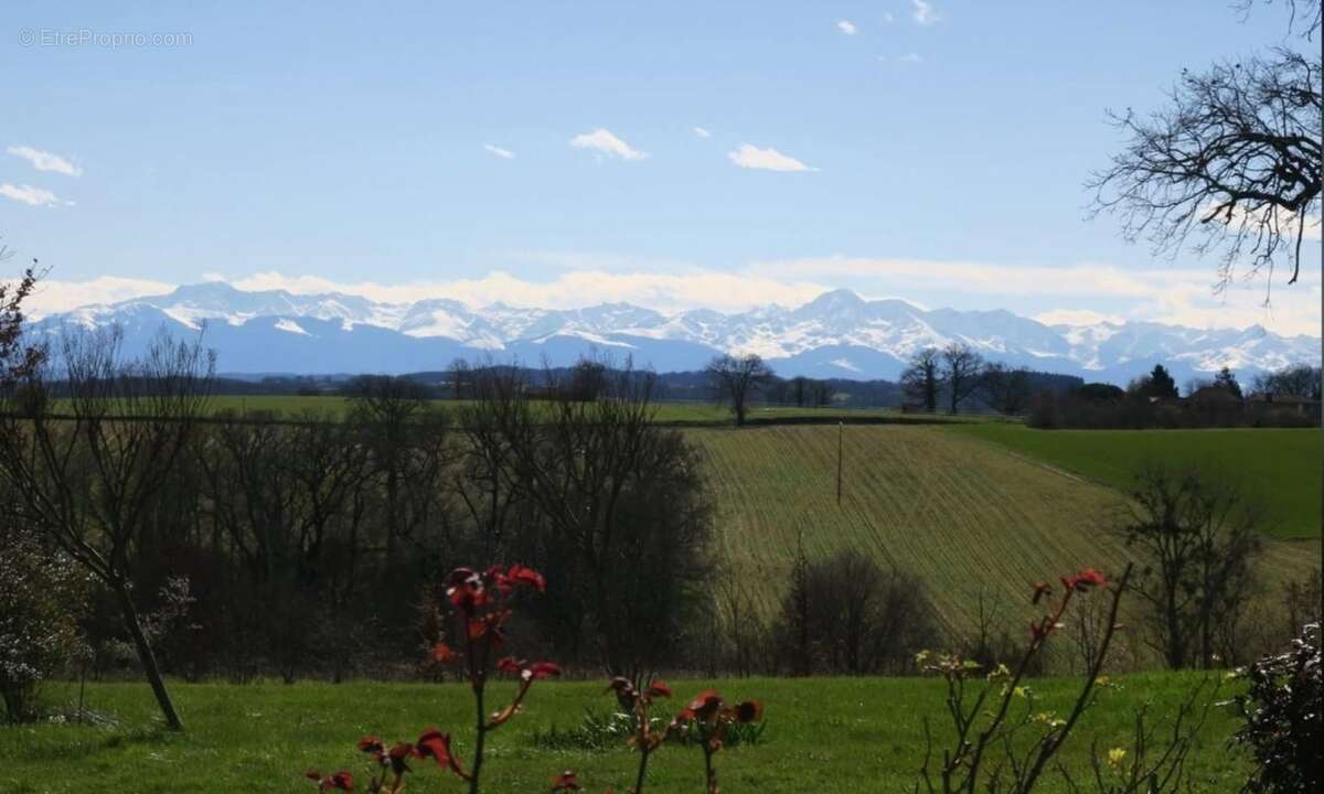 Un Domaine sur la Colline - photo 6