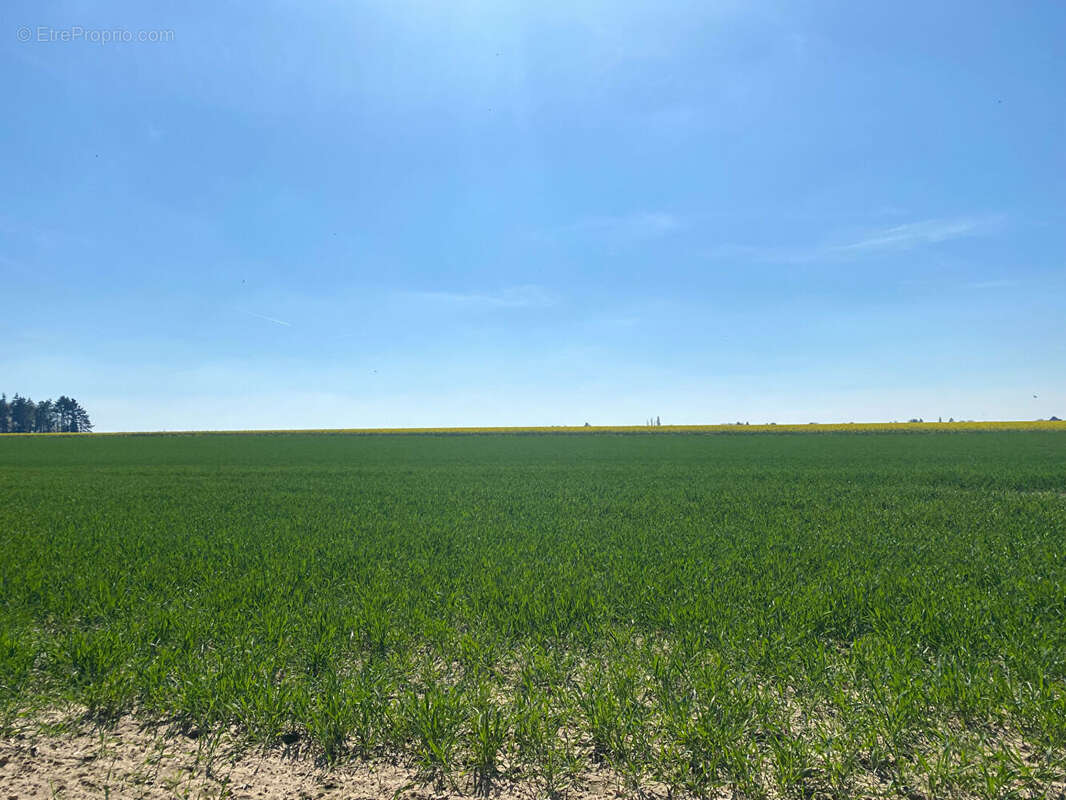 Terrain à TOURNEVILLE