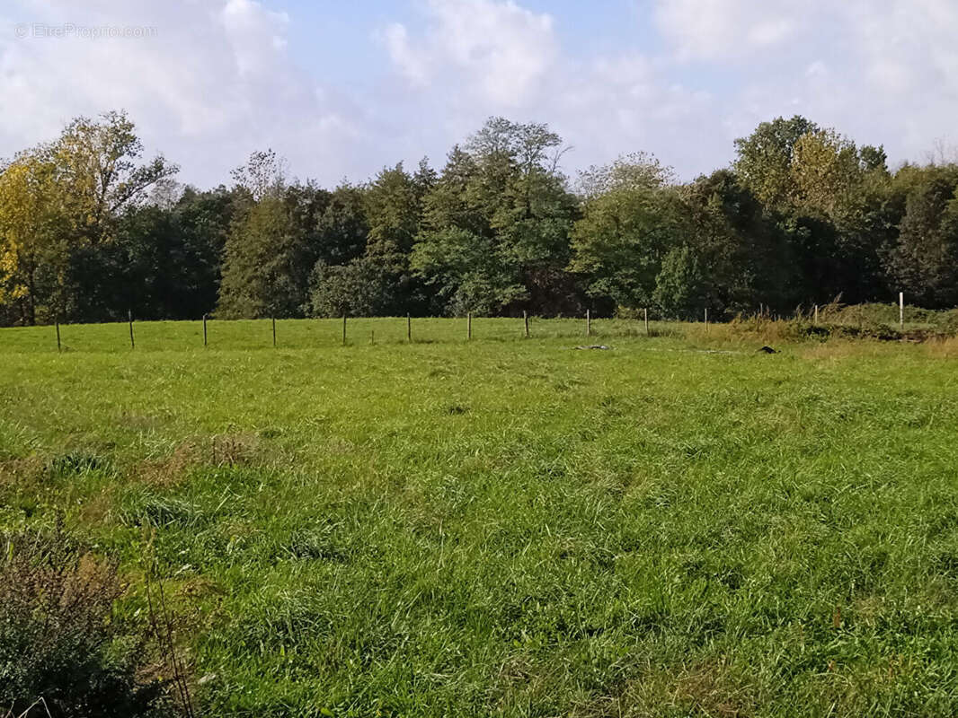 A vendre terrain à batir 1993 m2 viabilisé val-de-livenne - photo 3