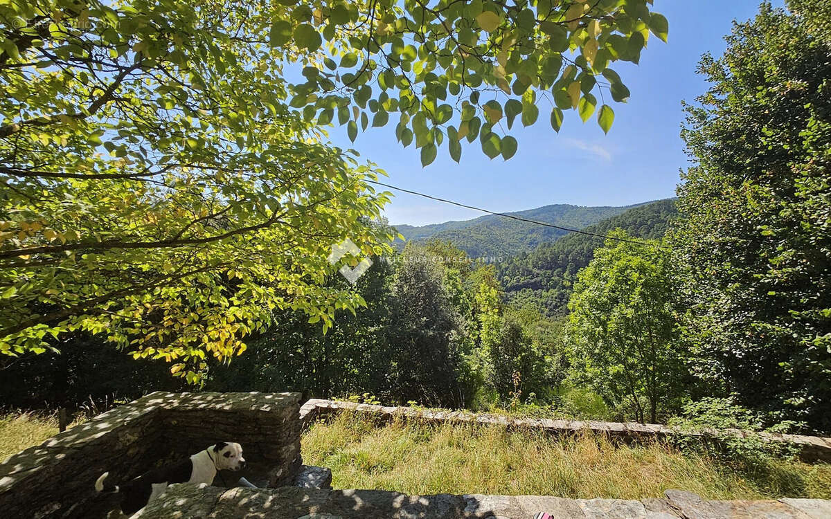 Maison à LE COLLET-DE-DEZE