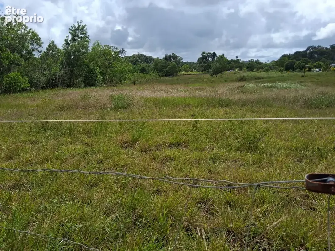 Terrain  3381 m2 -constructible - KOUROU - photo 4