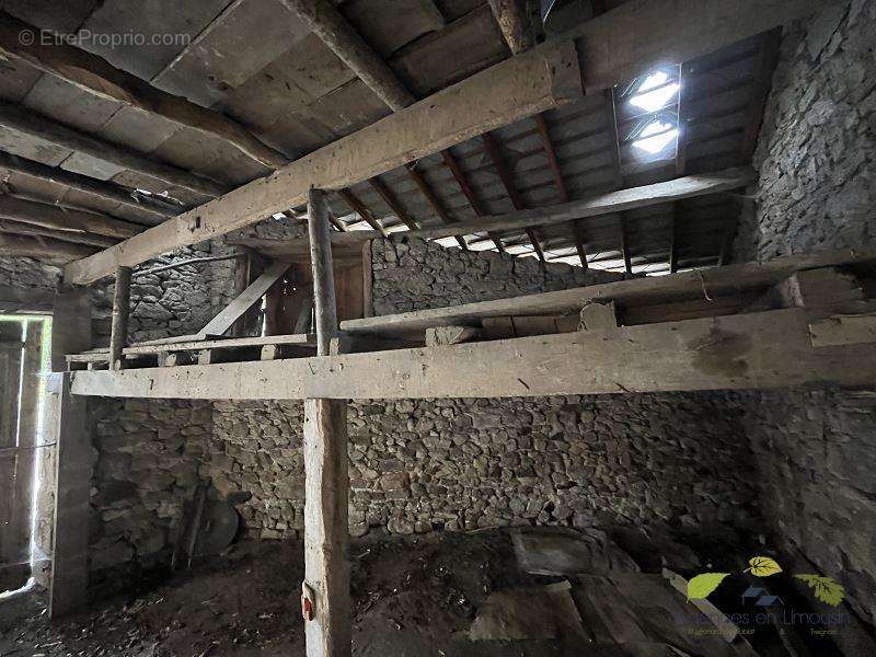 Terrain à SAUVIAT-SUR-VIGE