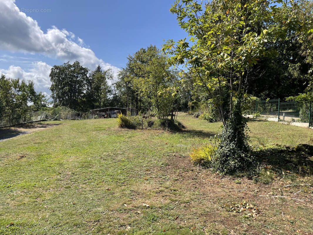 Terrain à SAINT-SORNIN-LAVOLPS