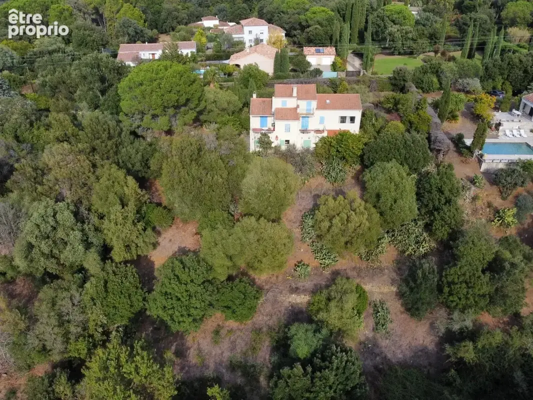 Oletta – terrain 885 m² – permis purgé - photo 2
