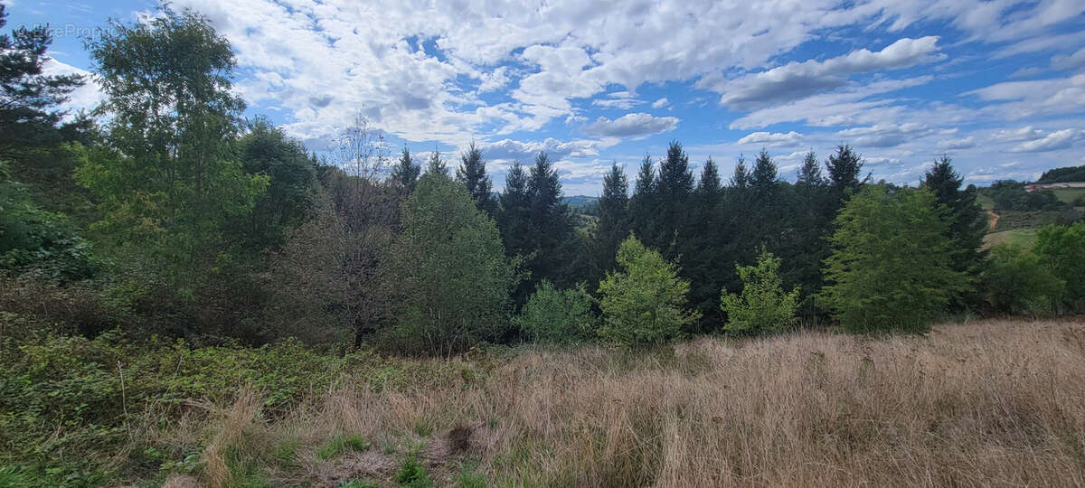 Terrain à bâtir avec très jolie vue - photo 5