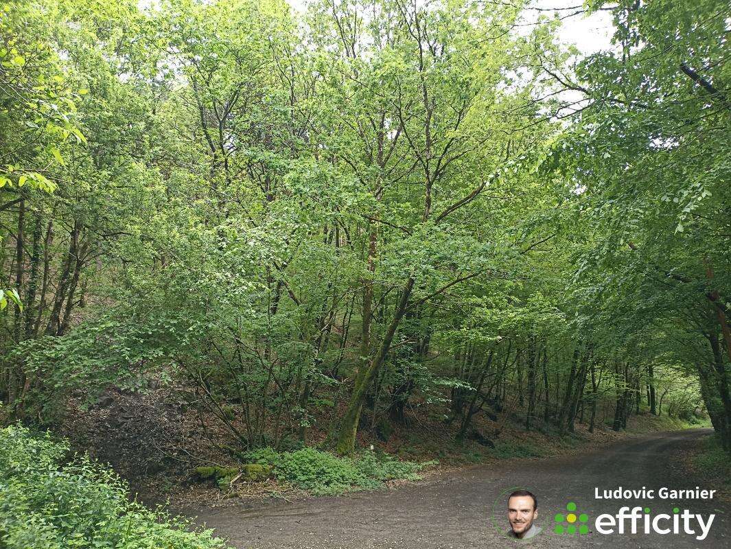 Terrain à JUVIGNY-LE-TERTRE
