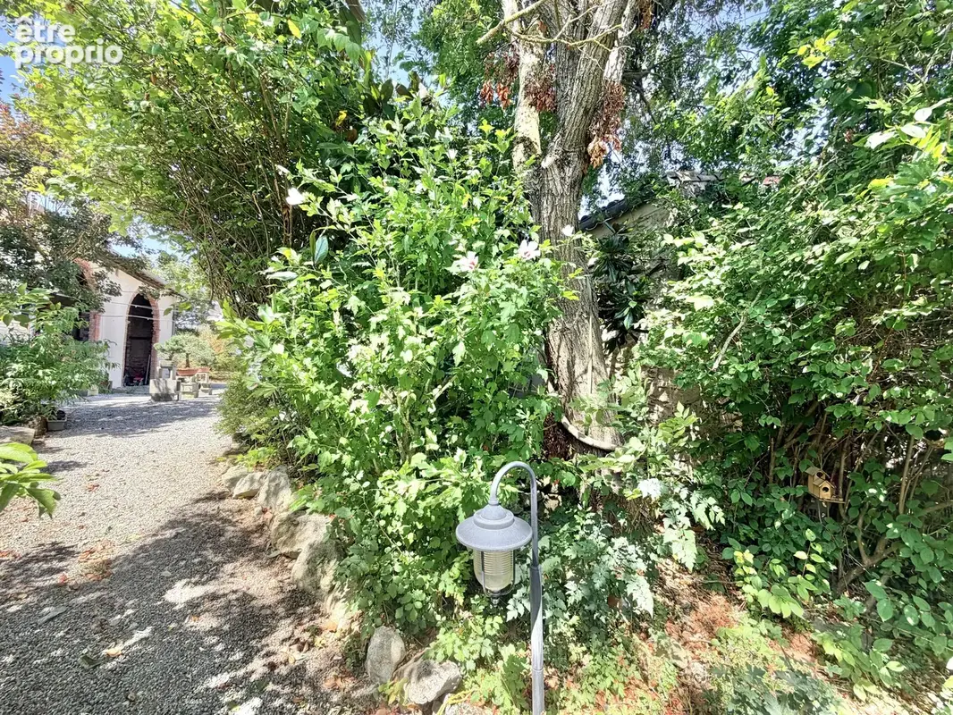Complexe de gîtes -  près de Castelnaudary - photo 20