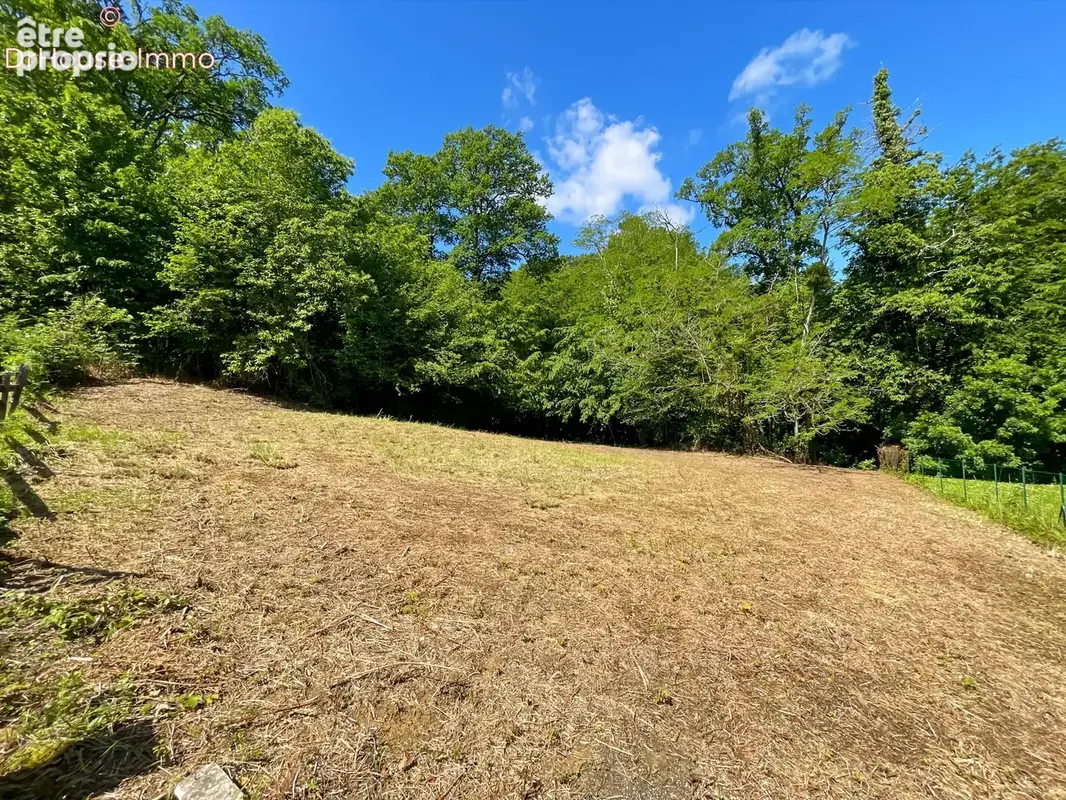 Terrain 1 108 m² à vendre à Mont-De-Marsan (40000) - photo 13