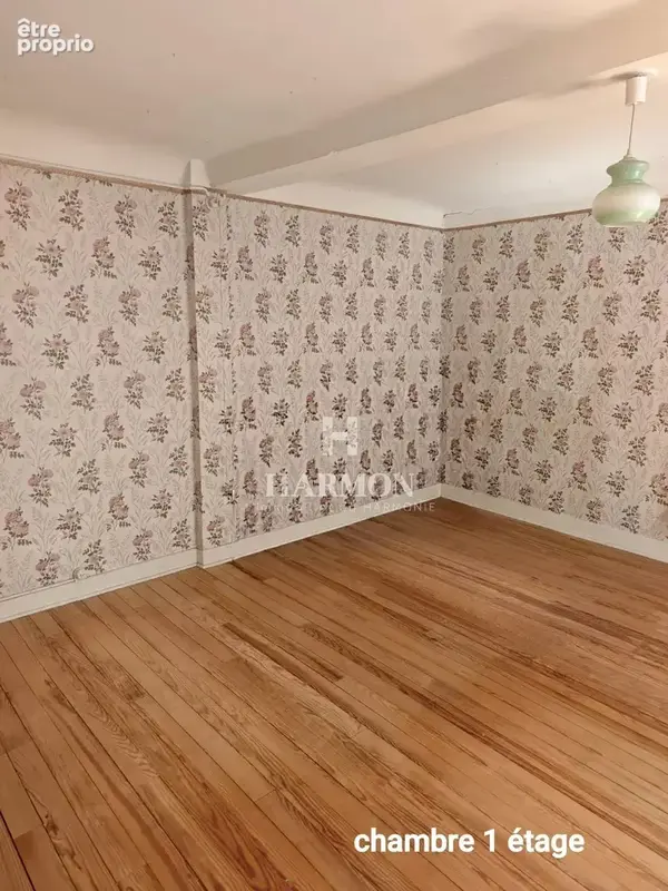 Grande maison de village à Castets, 9 chambres, clôturée - photo 9