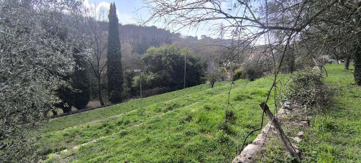 Terrain à VALBONNE