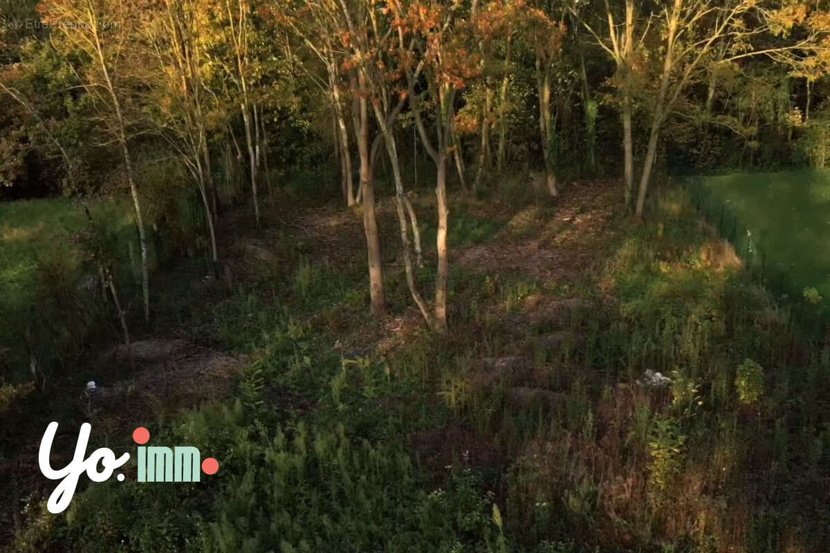 Terrain à BOIS-D'ARCY